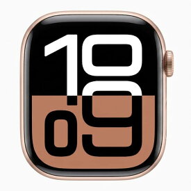【土日、祝日発送、店舗受取可】【中古品】Apple Watch Series 10 GPSモデル 46mm アルミニウムケース シルバー ジェットブラック ローズゴールド A2999 送料無料