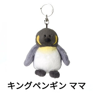 NICI jL L[z_[ L[O I[VtY BB }{E Jj NQ LOyM }} LOyM xr[ AUV xr[ V` zzWU 10cm ʂ݁yK̔