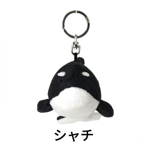 NICI jL L[z_[ L[O I[VtY BB }{E Jj NQ LOyM }} LOyM xr[ AUV xr[ V` zzWU 10cm ʂ݁yK̔