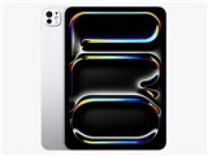 yyzyViJzAPPLE iPad Pro 2024 256GB 11C` Wi-Fi MVV93J/A Vo[ M4yAyAj zyzysph~̂߁AzB]sz