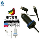 充電器 車 カーチャージャー DC 2.4A タイプC マイクロUSB Type-C typec microUSB スマートフォン タブレット 電子タバコ対応 ラスタバナナ