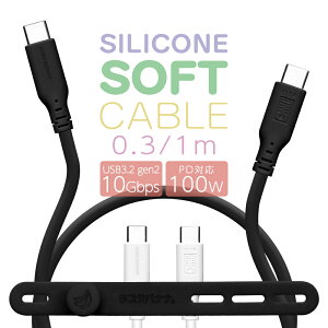 iPhone15 X}z ^CvC P[u PDΉ 100bg USB3.2 gen2 10Gbps 炩 ݂ɂ VRP[u [d ʐM 30Z` 1[g p[fo[ Type-C typec Power Delivery 100W 30cm 1m }