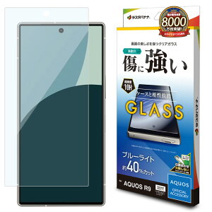 AQUOS R9 SH-51E KXtB ʕی u[CgJbg   u[CgJbg NA 0.33mm dx10H ȒP\t ANIX A[9 یtB X^oii