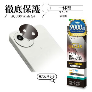 AQUOS wish5 SH-52F wish4 SH-52E KXtB YJo[ JYیKX   NA ^Cv dx10H ANIX EBbV5 Jی CR4843AW5 X^oii