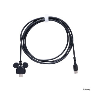 fBYj[LN^[ [dP[u dP[u USB 2.0 CABLE TYPE-C to TYPE-C 1.5m ~bL[ACR y1.5m [dP[u Type-CΉ TypeC ^CvC ~bL[ ~bL[}EX ~bL[tY z