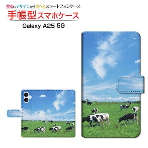 Galaxy A25 5G [SC-53F SCG33 SM-A253] MNV[ G[gDGeB t@C t@CW[ Ή 蒠^ X}zP[X JΉ NAP[Xt qƋ   Aj} [ { v[g 