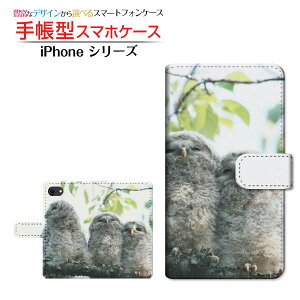 tیKXtBt iPhone SE (3) ACtH GXC[ 2022 iPhone SE3 Ή 蒠^ X}zP[X JΉ tNEeq Apple Abv `E`OX֑ Aj} 