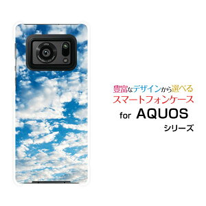 �X�}�z�P�[�X AQUOS R6 �A�N�I�X �A�[���V�b�N�X[SH-51B]docomo SoftBanksky type1[ ������� �v���[���g �a���� �L�O�� ]