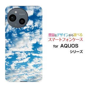 �X�}�z�P�[�X AQUOS sense10 �A�N�I�X �Z���X�e��[SH-53F SHG15 A505SH SH-M33]docomo au SoftBank �y�V���o�C��sky type1[ ������� �v���[���g �a���� �L�O�� ]