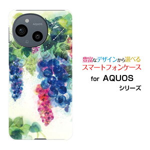 �X�}�z�P�[�X AQUOS sense10 �A�N�I�X �Z���X�e��[SH-53F SHG15 A505SH SH-M33]docomo au SoftBank �y�V���o�C��Grapegirden[ �f�U�C�� �G�� ���킢�� ]