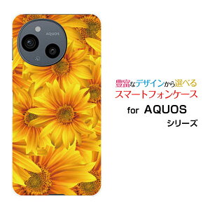 y[֑zAQUOS sense8 [SH-54D SHG11]sense7 [SH-53C SHG10]sense6 [SH-54B SHG05]sense4 [SH-41A]n[hP[X/TPU\tgP[XЂ܂ [ lC   fUC G   ʔ ]