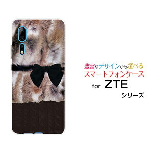 X}zP[X tیKXtBt ZTE Axon 10 Pro 5G [bgeB[C[ AN\ev t@CuW[SoftBankt@[×{×jbg͗l[  v[g a LO ]