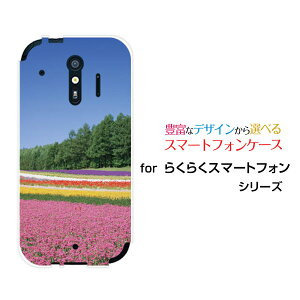 X}zP[X tیKXtBt 炭炭X}[gtH NNX}[gtH[F-42A]docomoԔ[ fUC G 킢 ]