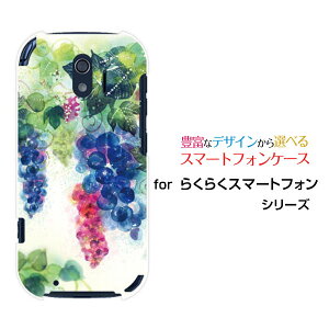 X}zP[X 炭炭X}[gtH NNX}[gtH[F-42A]docomoGrapegirden[ fUC G 킢 ]