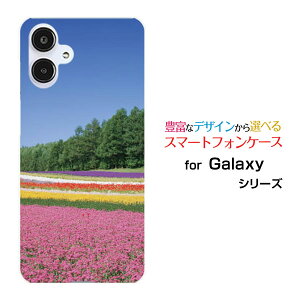 X}zP[X Galaxy A25 5G MNV[ G[gDGeB t@C t@CW[[SC-53F SCG33 SM-A253]docomo au SoftBank UQ mobile Y!mobileԔ[ fUC G 킢 ]