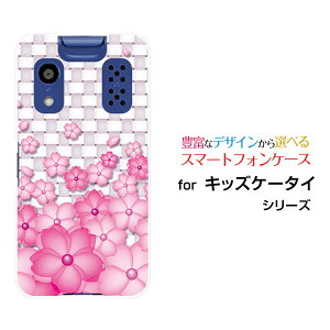 X}zP[X LbYP[^C [[KY-41C]docomoF̉[  v[g a LO ]