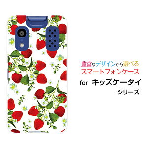 X}zP[X LbYP[^C [[KY-41C]docomo[  v[g a LO ]