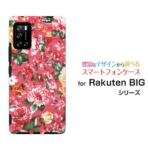 X}zP[X tیKXtBt Rakuten BIG s Ne rbO GX[3917JR]yVoC`t[[ fUC G 킢 ]