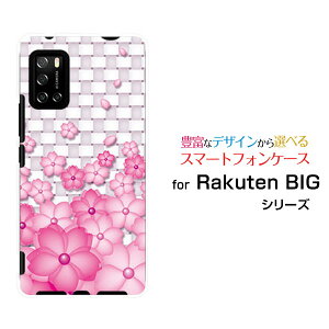 X}zP[X tیtBt Rakuten BIG s Ne rbO GX[3917JR]yVoCF̉[  v[g a LO ]