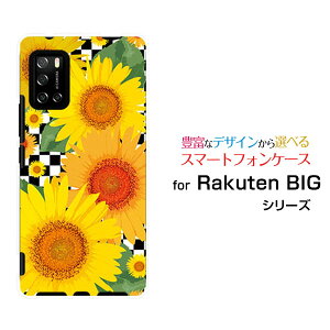 X}zP[X tیtBt Rakuten BIG s Ne rbO GX[3917JR]yVoCЂ܂CXg[  v[g a LO ]