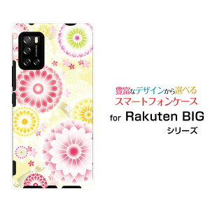 X}zP[X Rakuten BIG s Ne rbO GX[3917JR]yVoCeiDj[  v[g a LO ]