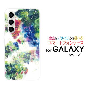 X}zP[X GALAXY S23 FE MNV[ GXgDGeBX[ GtGC[[SCG24]aủ[ fUC G 킢 ]