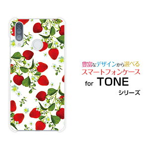 X}zP[X TONE e20 g[ e20TONEoC[  v[g a LO ]