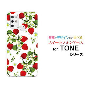 X}zP[X TONE e21 g[ e21TONEoC[  v[g a LO ]