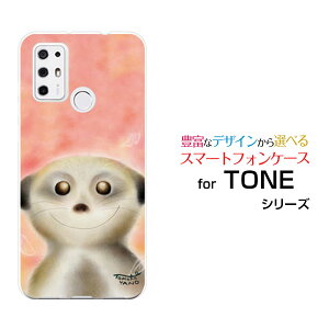 X}zP[X tیtBt TONE e21 g[ e21TONEoCΊ̃tFbg[ fUC G 킢 ]