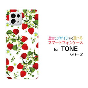 X}zP[X TONE e22 g[ C[gDGeBc[TONEoC[  v[g a LO ]