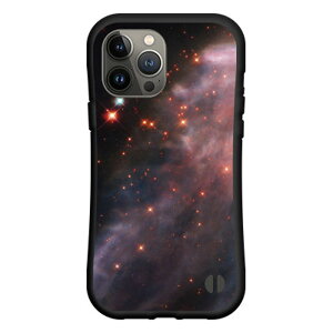 iPhone 15 Pro Max�A�C�t�H�� �t�B�t�e�B�[�� �v�� �}�b�N�Xdocomo au SoftBank �y�V���o�C�����Ƃ��Ă�����ɂ��������̏Ռ��z���͖L�x�ȃI���W�i���f�U�C���ϏՌ� �n�C�u���b�h�P�[�X�F���� Space