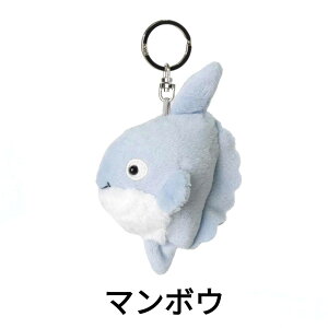 NICI jL L[z_[ L[O I[VtY BB }{E Jj NQ LOyM }} LOyM xr[ AUV xr[ V` zzWU 10cm ʂ