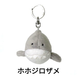 NICI jL L[z_[ L[O I[VtY BB }{E Jj NQ LOyM }} LOyM xr[ AUV xr[ V` zzWU 10cm ʂ