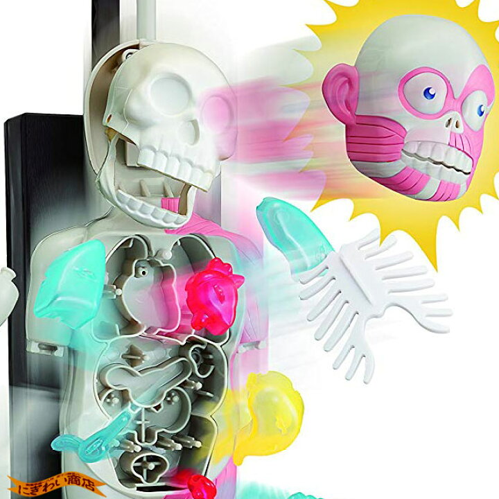 楽天市場 さらに怖い新型 New 恐怖 ドキドキクラッシュ ゾクッ人体模型 変テコ雑貨と玩具のにぎわい商店
