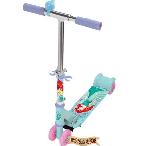 fBYj[vZX C[W[XP[^[`AG`