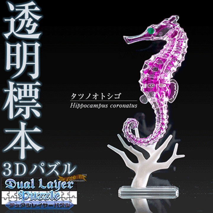 3Dパズル 6125791.jpg