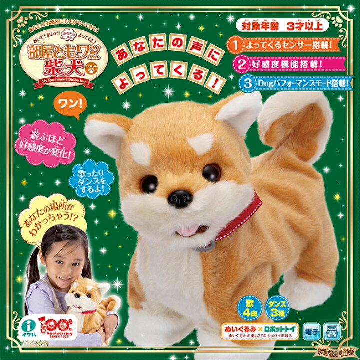 楽天市場】おいで！おいで！よってくる！部屋ともワンちゃん 柴犬 