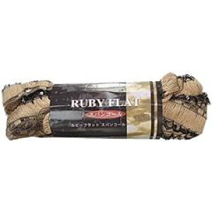 ���A�ю� ���r�[�t���b�g�X�p���R�[��