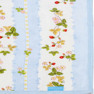 EFbWEbh V[D Ȗѕz 856-117