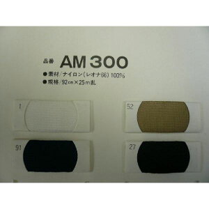 �c�n�������A�s�RAM300�@0�D1m�P��