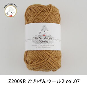 yԌzyZ2009RFzwool(E[)2 10ʃpbNy100/40gz2023Nj[A юZAKKAXgA[Y ܂Ƃߔ