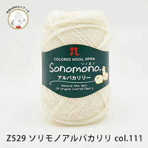 yԌzyZ529zn}iJ \mm ApJ[yE[80%ApJ20%/40gʊ(120m)zюZAKKAXgA[Y