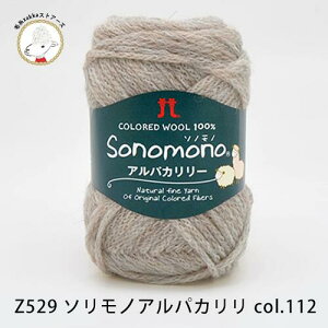 yZ529zn}iJ \mm ApJ[yE[80%ApJ20%/40gʊ(120m)zюZAKKAXgA[Y