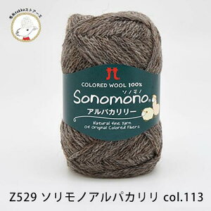 yZ529zn}iJ \mm ApJ[yE[80%ApJ20%/40gʊ(120m)zюZAKKAXgA[Y