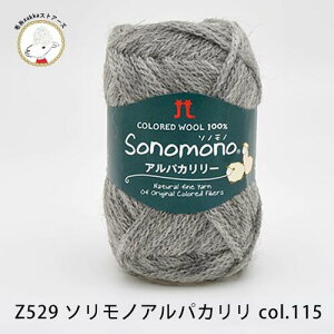 yZ529zn}iJ \mm ApJ[yE[80%ApJ20%/40gʊ(120m)zюZAKKAXgA[Y