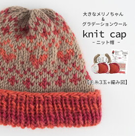 【Z2133-KIT】グラデーションウール 帽子着分セット【毛糸3玉＋編み図】毛糸ZAKKAストアーズ 数量限定 毛糸zakkaオリジナル