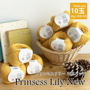 yZ2050NFzvZX[F10 2023j[A E[100юzakkaXgA[Y ܂Ƃߔ ʌ