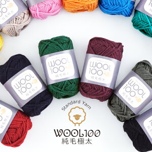 毛糸 wool100 純毛極太テクノ450091 アウトレット/数量限定