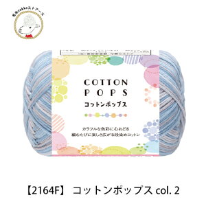 yԌzy2164FzRbg|bvX y10ʃpbNz傤̎   20g(54m) юzakkaXgA[Y