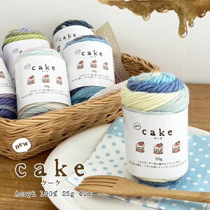 y6095Fznew cake(j[ P[N)@25gy10ʃpbNz i юZAKKAXgA[Y@傤̎ ܂Ƃߔ ݌Ɍ ԕis